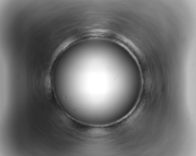 X0000098101362200804111014