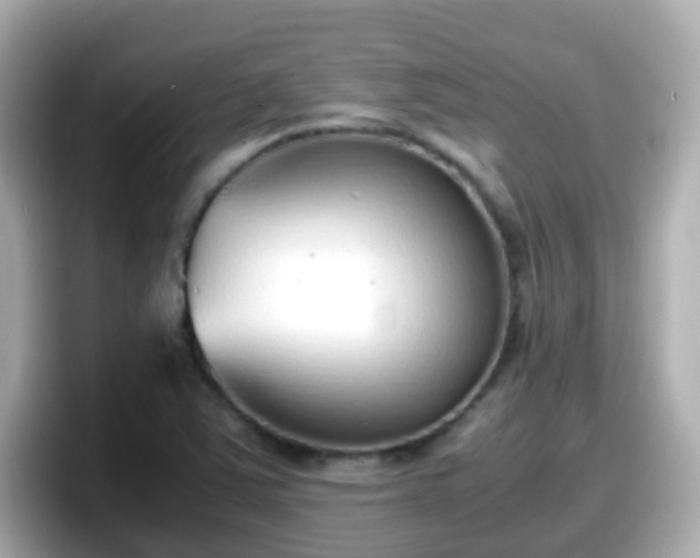 X0000098101363200804111014
