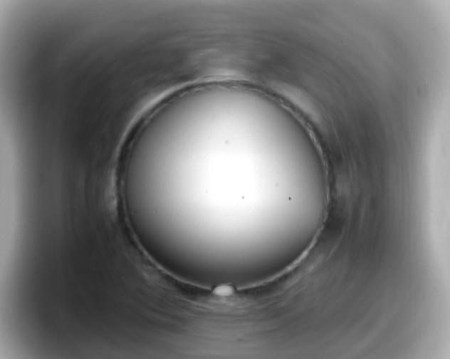 X0000098101364200804111014