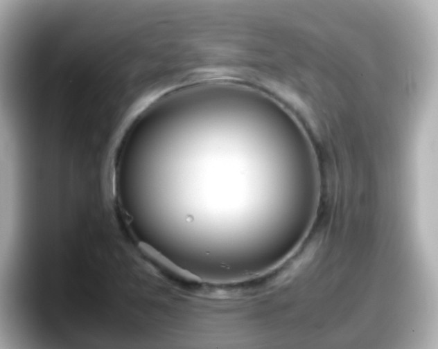 X0000098101365200804111014