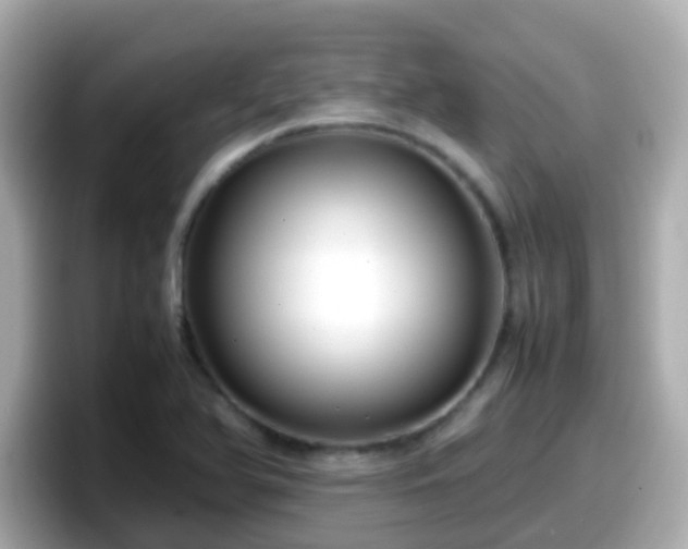 X0000098101366200804111014