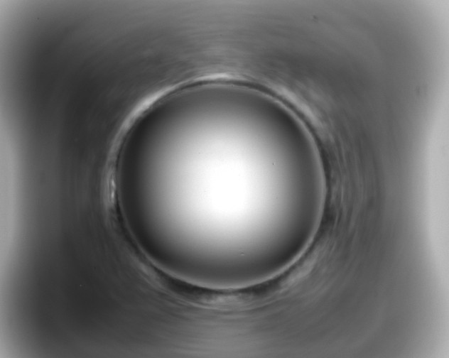 X0000098101367200804111014