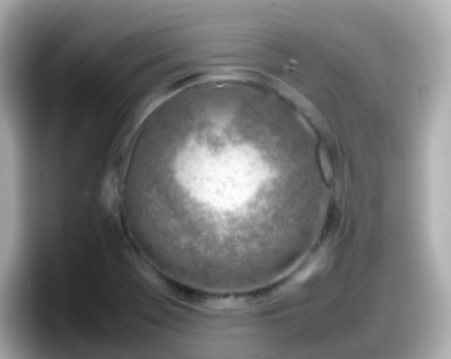 X0000098101369200804111014
