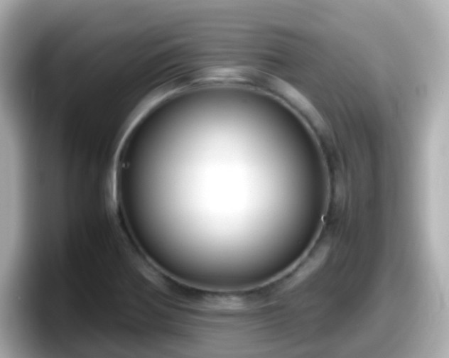 X0000098101370200804111014