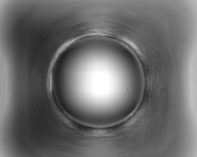 X0000098101371200804111014