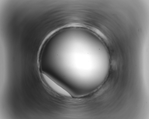 X0000098101372200804111014