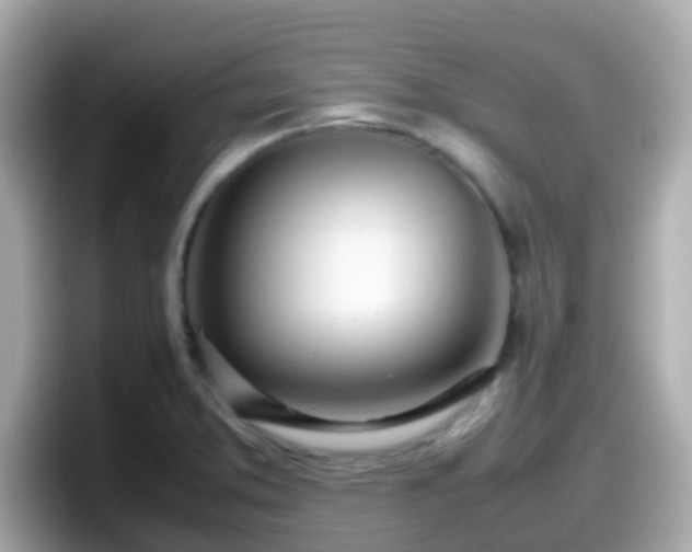 X0000098101373200804111014
