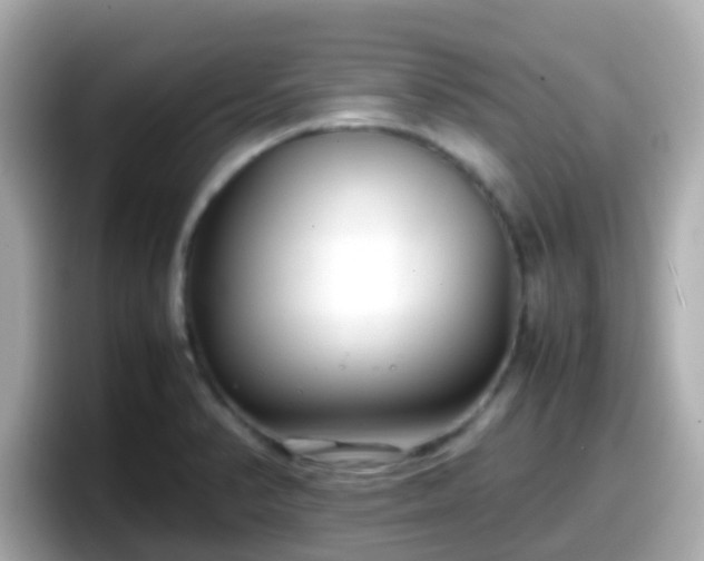 X0000098101374200804111014