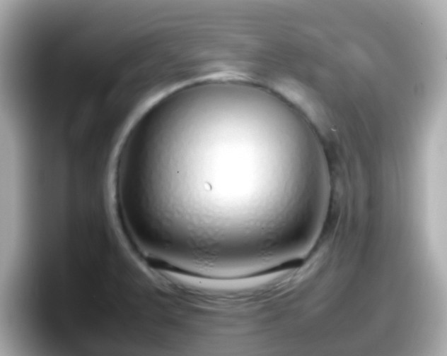 X0000098101375200804111014