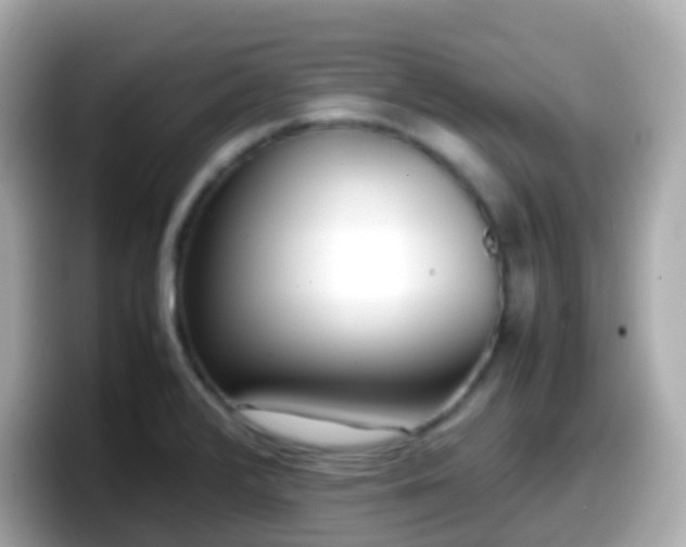 X0000098101376200804111014