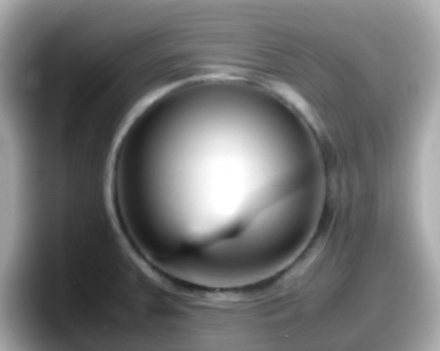 X0000098101379200804111014