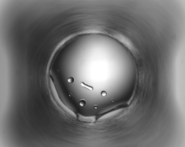 X0000098101380200804111014
