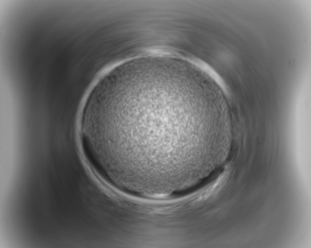 X0000098101381200804111014