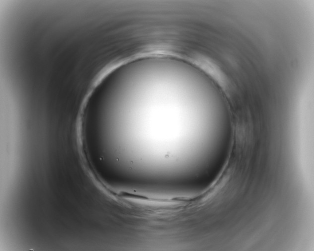 X0000098101382200804111014