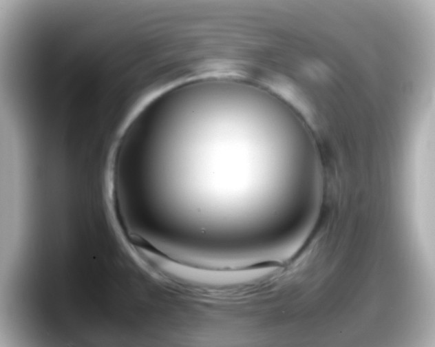 X0000098101383200804111014