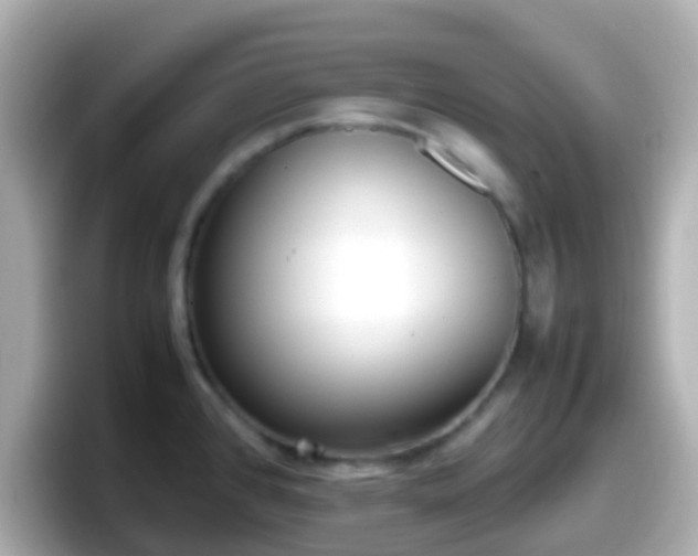 X0000098101384200804111014