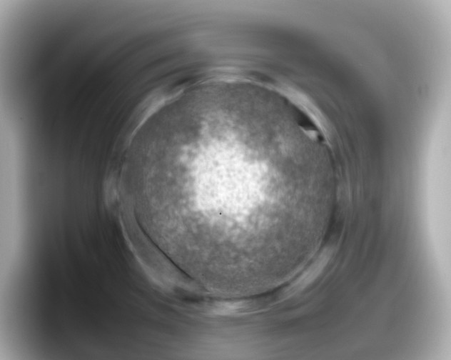 X0000098101385200804111014