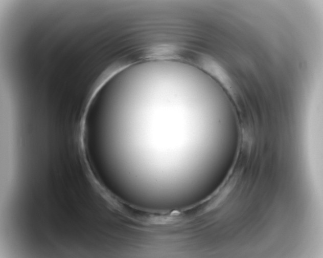 X0000098101386200804111014