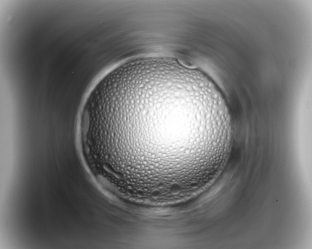 X0000098101387200804111014