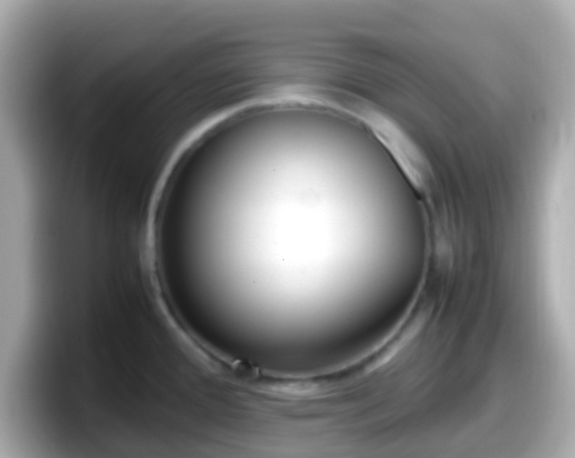 X0000098101388200804111014