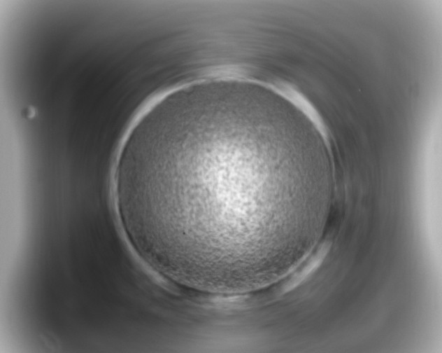 X0000098101389200804111014