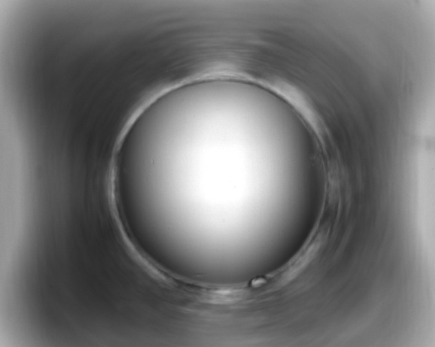 X0000098101390200804111014