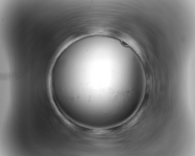 X0000098101391200804111014