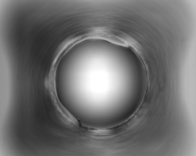 X0000098101392200804111014