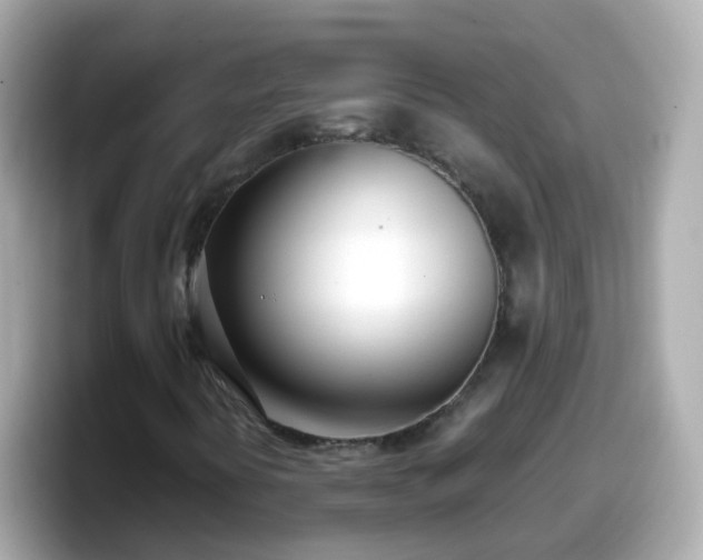 X0000098101394200804111013