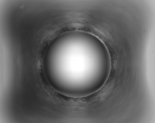 X0000098101397200804111013
