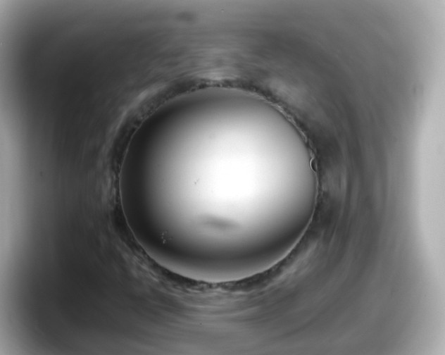 X0000098101398200804111013