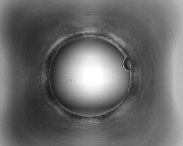 X0000098101400200804111013