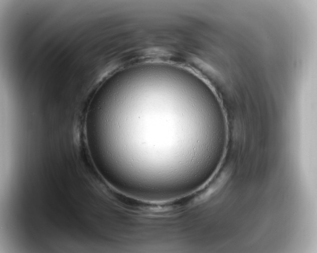 X0000098101401200804111013