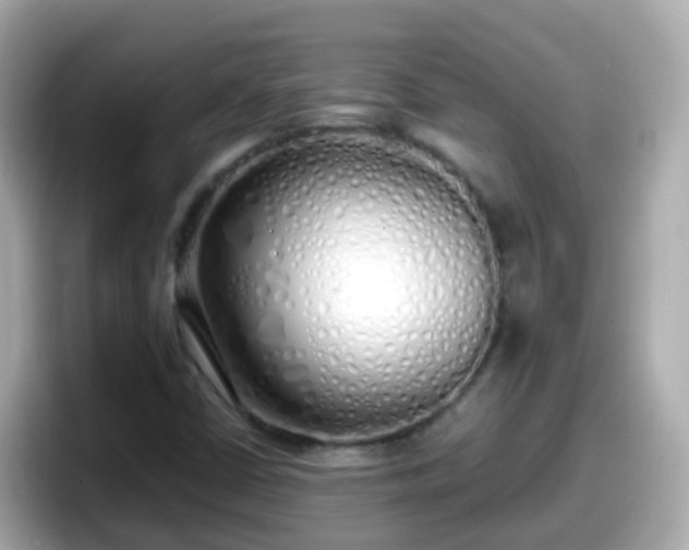 X0000098101402200804111013