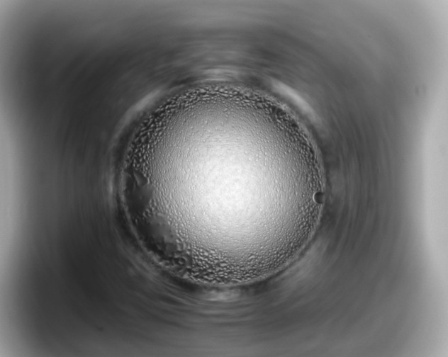 X0000098101403200804111013