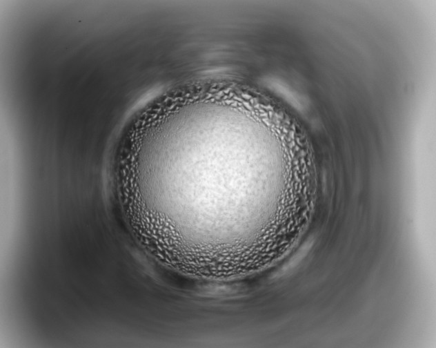 X0000098101405200804111013
