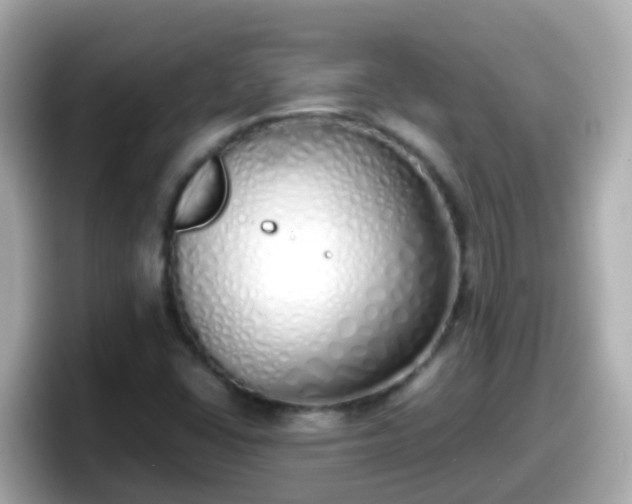 X0000098101406200804111013