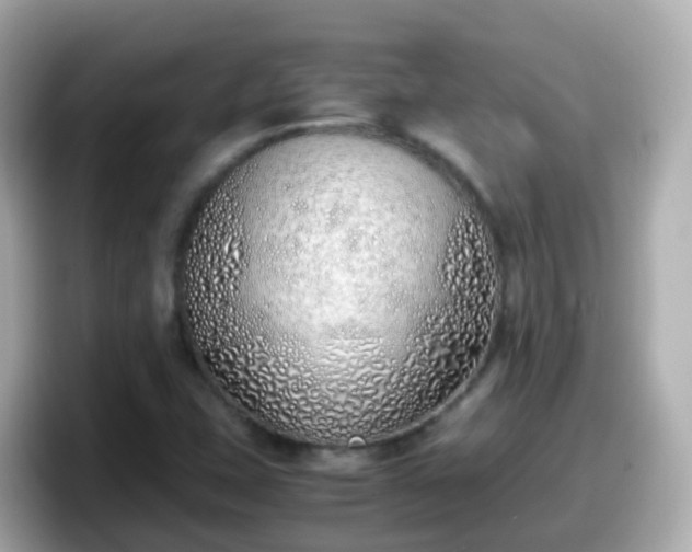 X0000098101407200804111013