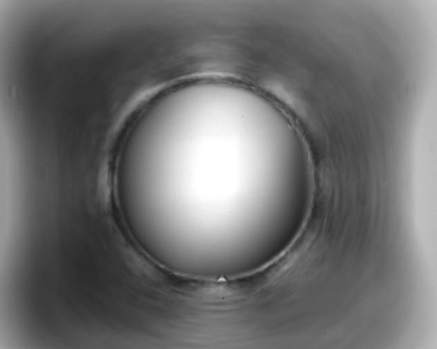 X0000098101408200804111013