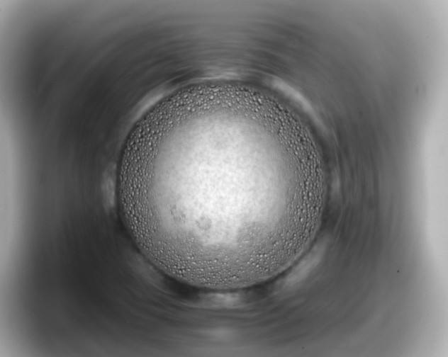 X0000098101409200804111013