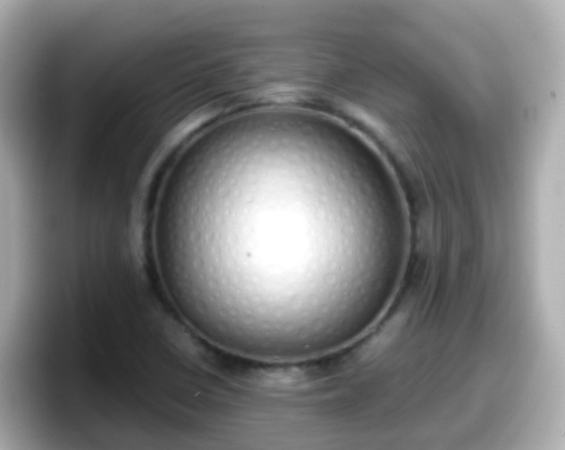 X0000098101410200804111013