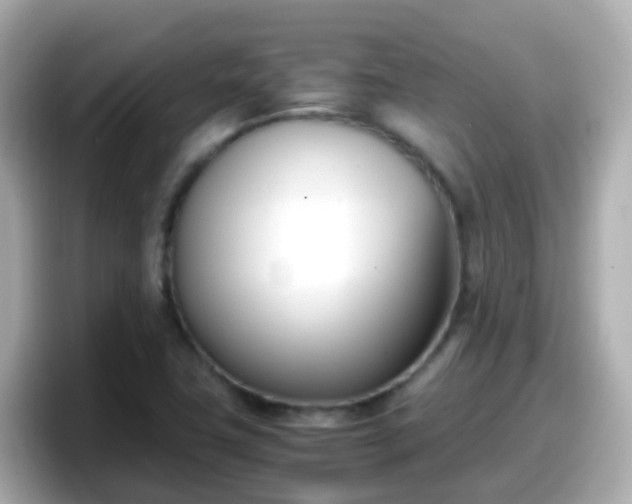 X0000098101411200804111013