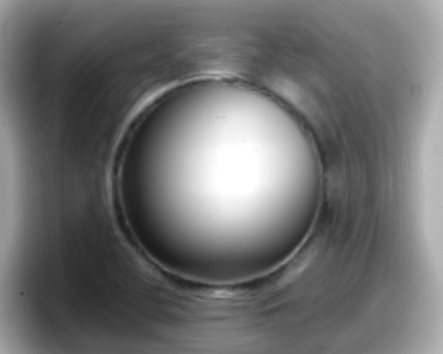 X0000098101412200804111013