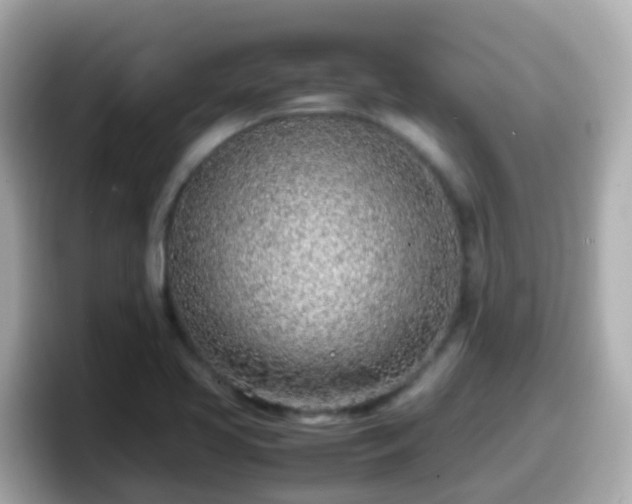 X0000098101413200804111013