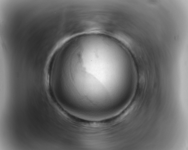 X0000098101414200804111013