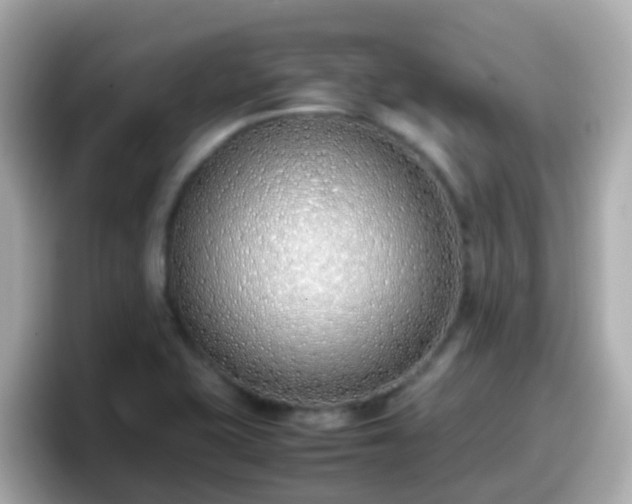 X0000098101415200804111013