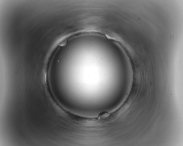 X0000098101416200804111013