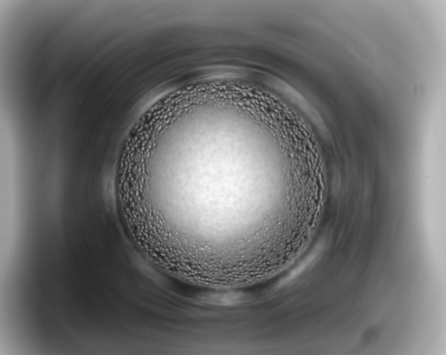 X0000098101417200804111013
