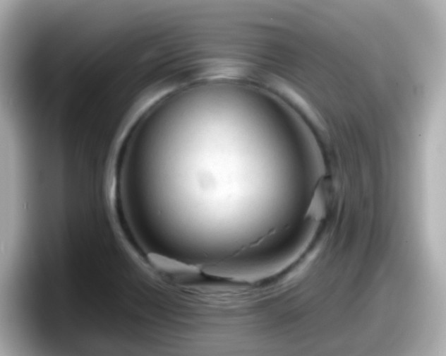 X0000098101418200804111013