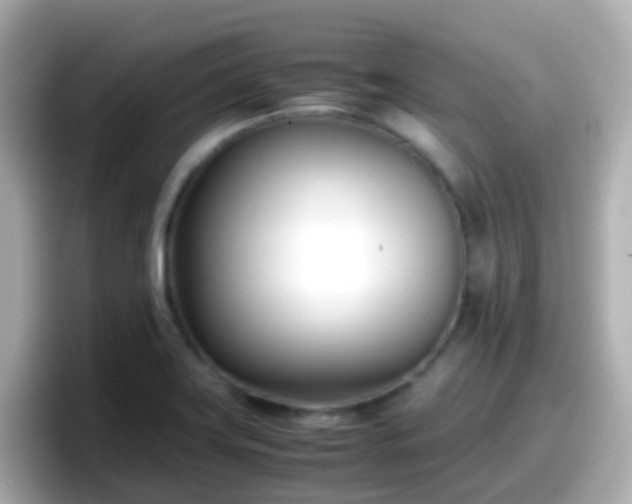 X0000098101419200804111013